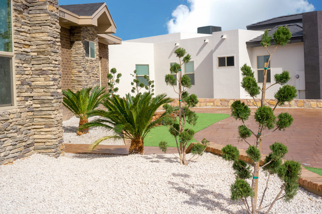 Desert Landscaping Ideas For Transforming Your Yard 915 Siteworks
